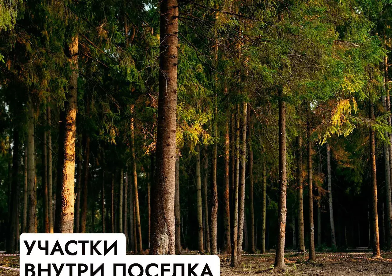 земля г Клин 54 км, эко-посёлок Ели эстейт, Новопетровское, Ленинградское шоссе фото 27