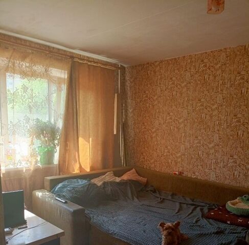 ул Калмыкова 11а фото