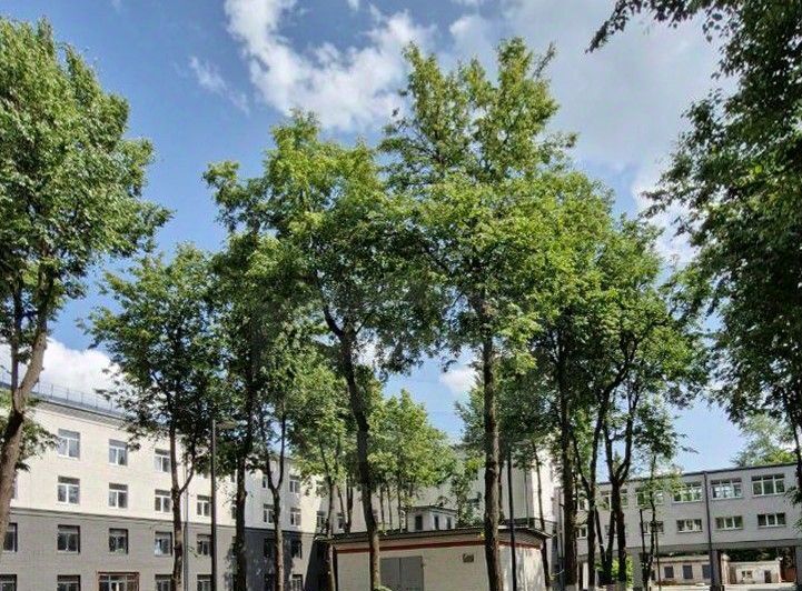 офис г Люберцы микрорайон Панки пр-кт Октябрьский 403 фото 2