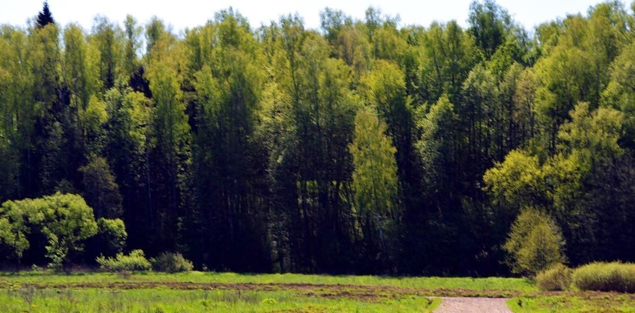 земля г Подольск д Пузиково Подольск, 83 фото 3