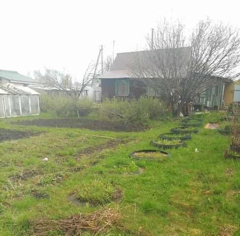 с. Зиняки фото