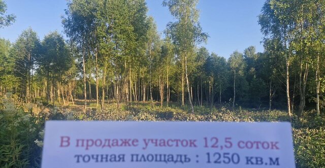 27 км, д. Першино, Киевское шоссе фото
