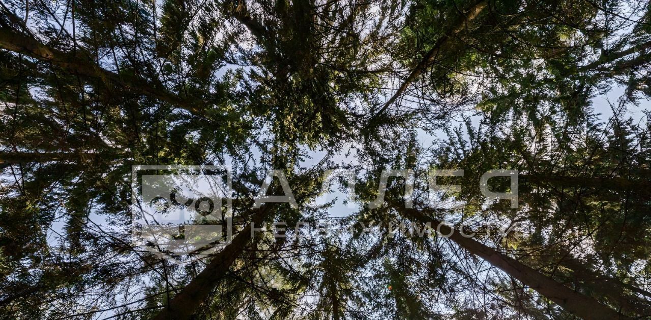 дом г Истра ДЗ Шервуд тер., Нахабино фото 1