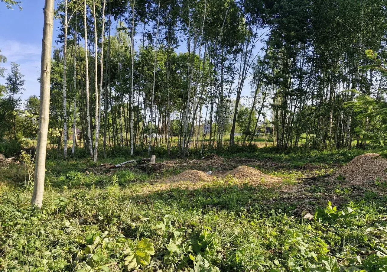 земля городской округ Наро-Фоминский г Апрелевка 27 км, д. Першино, Киевское шоссе фото 10