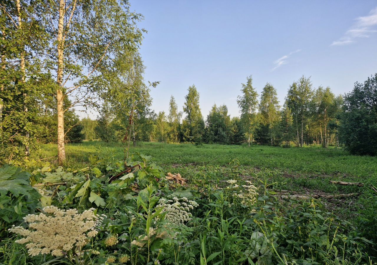 земля городской округ Наро-Фоминский г Апрелевка 27 км, д. Першино, Киевское шоссе фото 12
