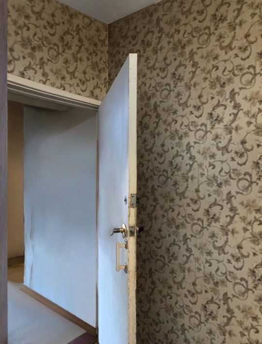 квартира г Омск р-н Кировский ул Лукашевича 21 Кировский АО фото 3