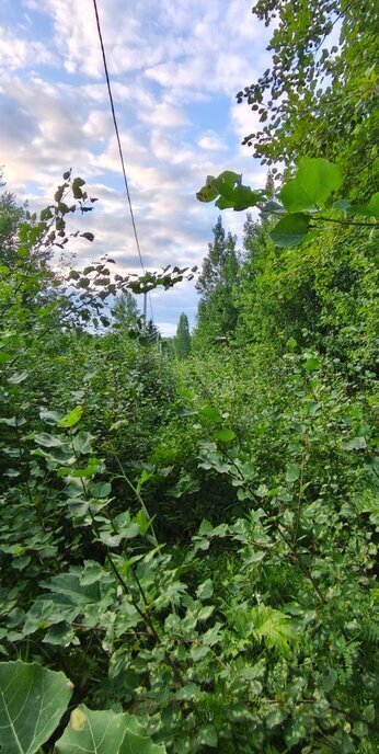земля г Томск п Родионово ул Маршала Жукова 68 р-н Советский Родионово фото 7