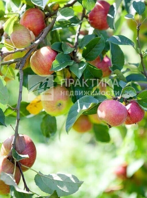 дом г Истра садовое товарищество Куртасово фото 22