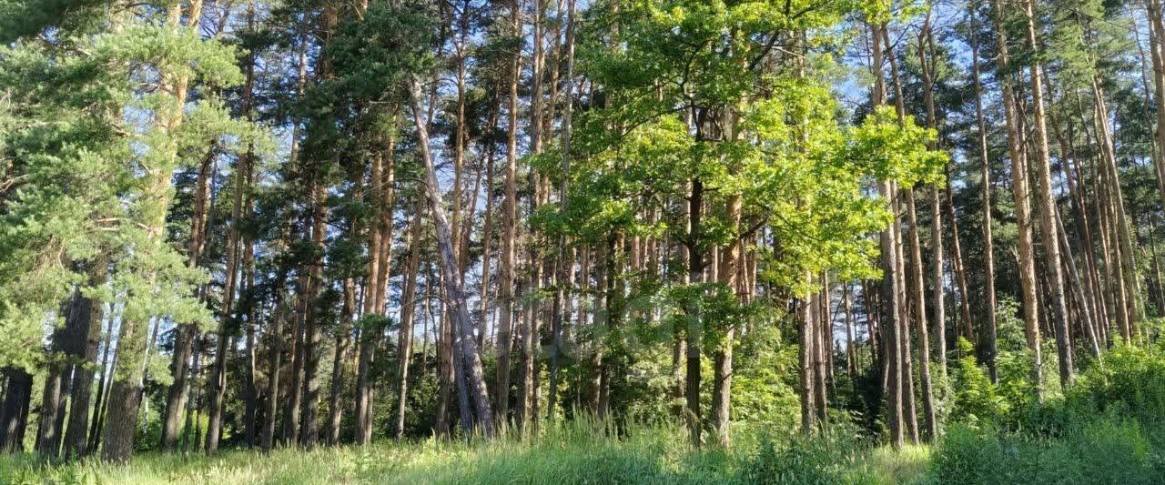 квартира г Ивантеевка ул Победы 8 Пушкинский городской округ фото 37