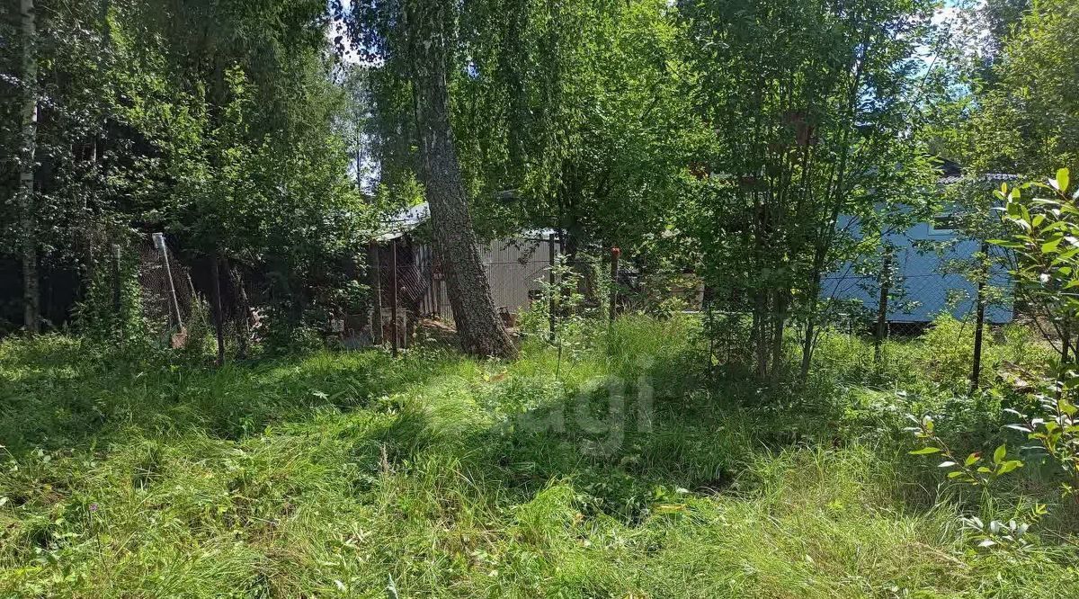 земля г Красногорск Бор садовое товарищество, Аникеевка, 64 фото 4
