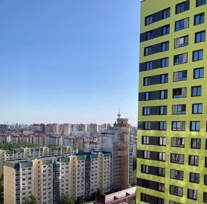 квартира г Воронеж р-н Центральный ул Загоровского 1 фото 17