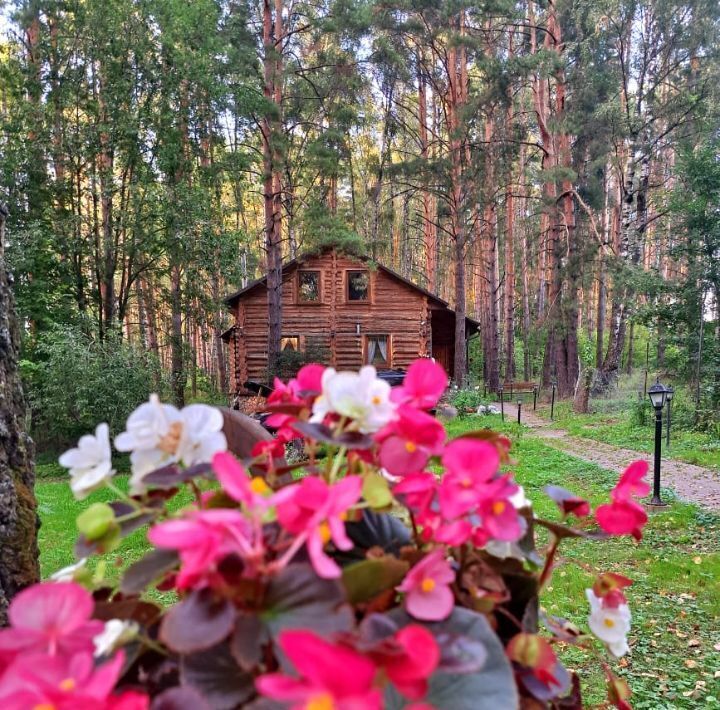дом р-н Алексинский г Алексин Санатория-курорта Алексин-Бор тер фото 1