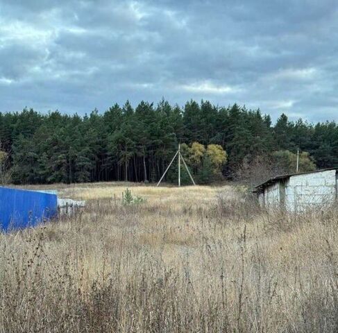 ул Центральная Старооскольский городской округ фото