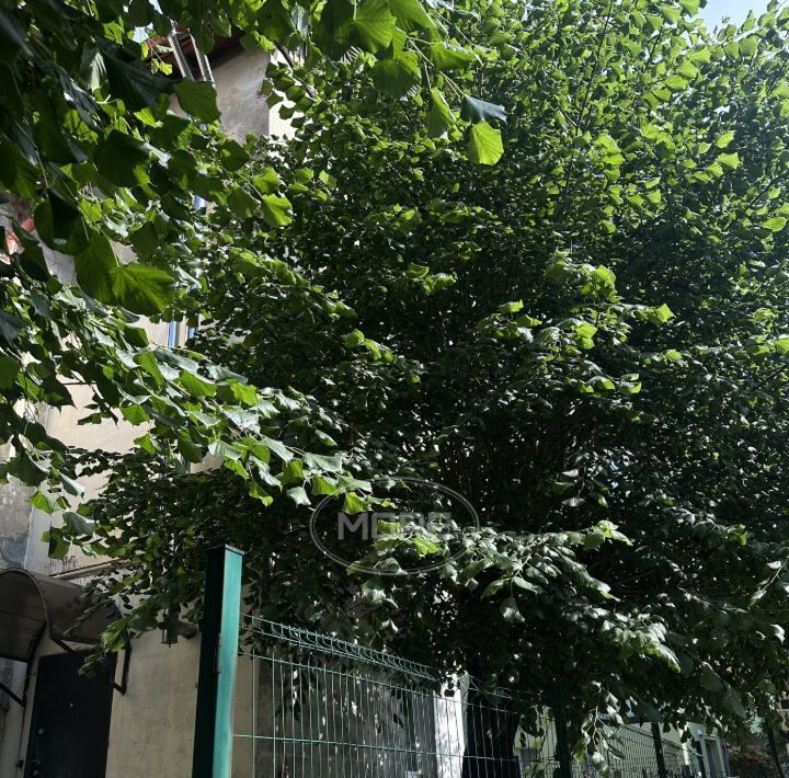 квартира р-н Зеленоградский г Зеленоградск ул Октябрьская 3 фото 3