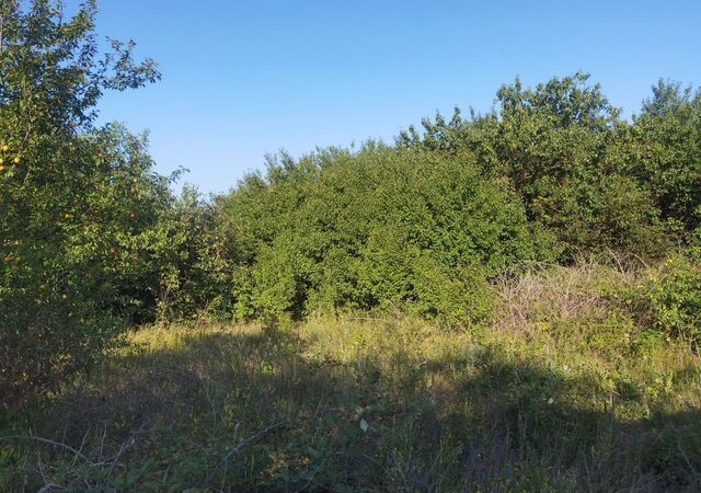 земля СОТ Ягодка, пр. Б, Цибанобалка фото