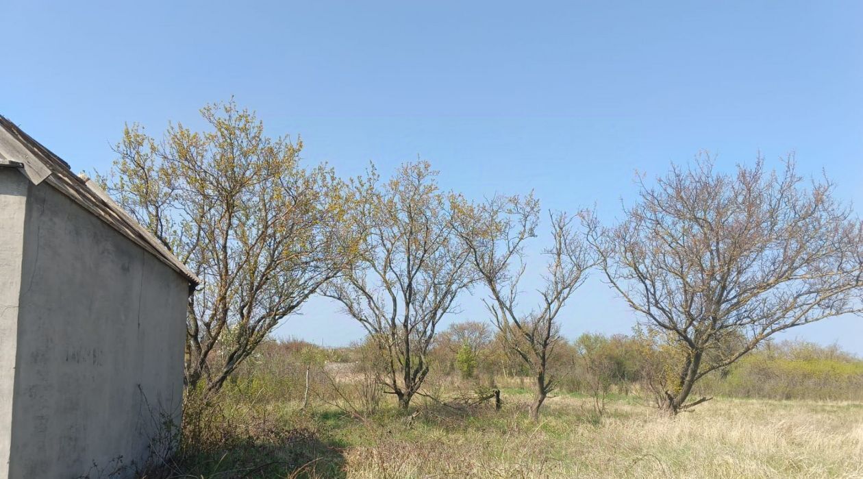 земля р-н Ейский г Ейск снт Виктория ул. 11-я фото 5
