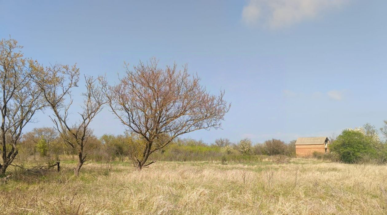 земля р-н Ейский г Ейск снт Виктория ул. 11-я фото 6