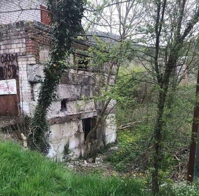 земля г Новороссийск п Лесничество Абрау-Дюрсо фото 17