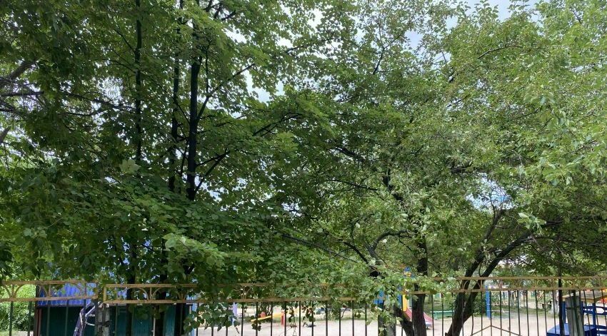 квартира г Курган мкр 6-й п Заозерный жилрайон, 10 фото 2