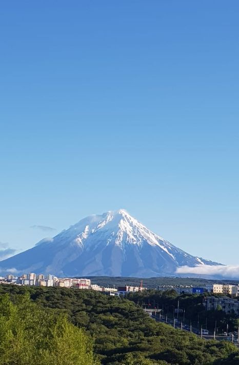 квартира г Петропавловск-Камчатский проезд Туристический 24 фото 1