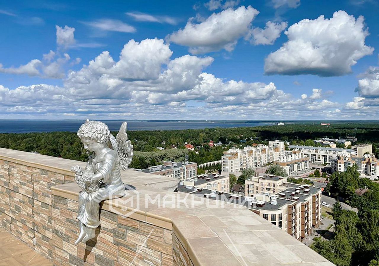 квартира г Сестрорецк р-н Курортный ул Воскова 5 фото 1