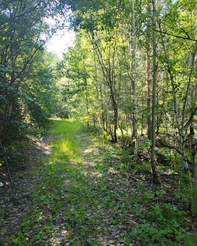 жилой район Сухой, ул. Тимирязева, 31 фото