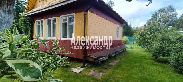 снт Отрадненское Мгинское городское поселение, 6-я линия, Мга фото