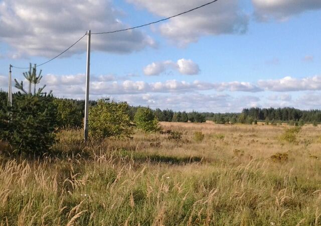 71 км, Орехово-Зуево, Носовихинское шоссе фото