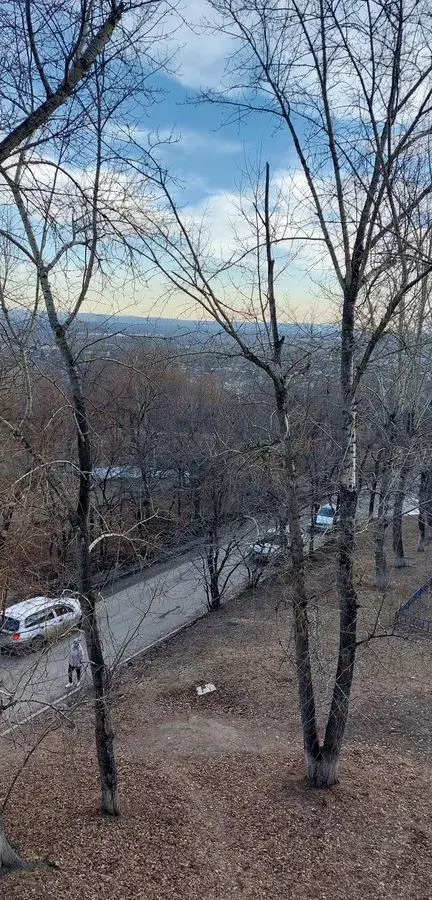 квартира г Иркутск р-н Свердловский ул Маршала Конева 50 фото 27