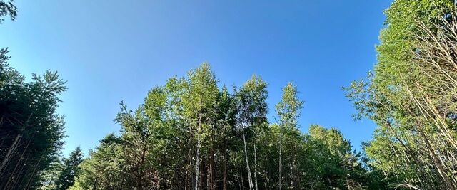 п Билимбай фото