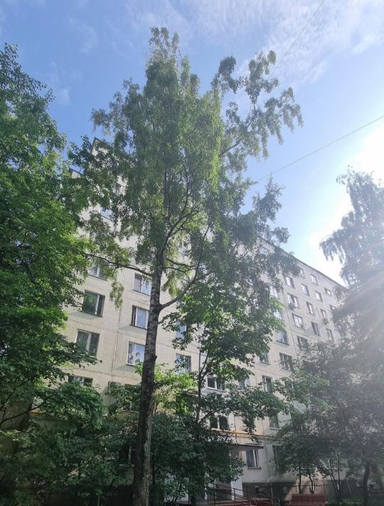 квартира г Москва метро Пражская проезд Востряковский 11к/2 муниципальный округ Бирюлёво Западное фото 1
