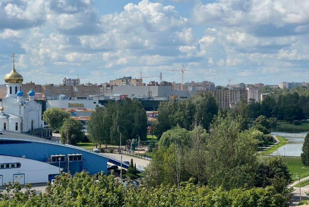 квартира г Смоленск р-н Промышленный ул Попова 30 ЖК «Жемчужина парка» фото 18