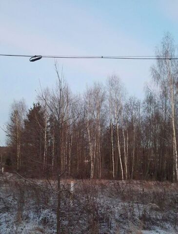 ул Розовый Бор фото