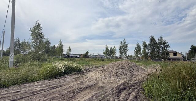 54 км, КП Берёзки парк, Рабочая ул, Носовихинское шоссе фото