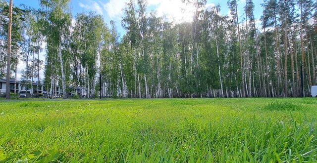 ул Гангутская 15 Яменское сельское поселение, КП Панорама, Воронеж фото