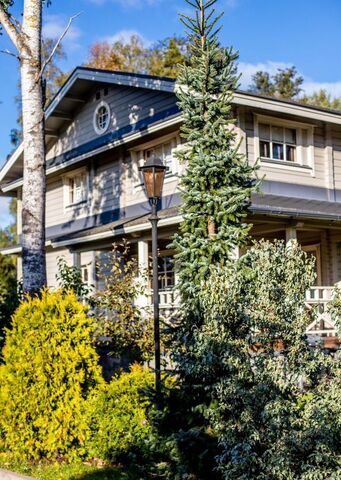 п Репино ш Приморское 414 р-н Курортный Зеленогорское шоссе, 15 км фото