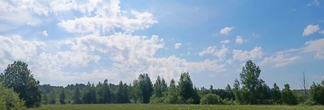 б-р Сиреневый Киришское городское поселение фото