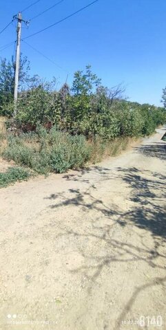 пер Ореховый фото