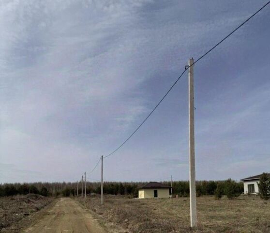 снт Сосновское фото