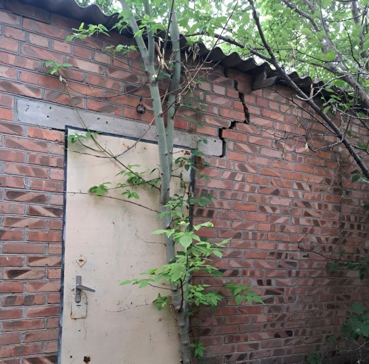 земля р-н Сальский г Сальск ул Седова 36 фото 3