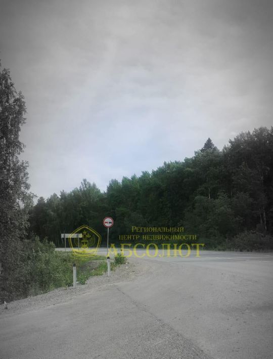 земля г Дегтярск ул Зубарево фото 2