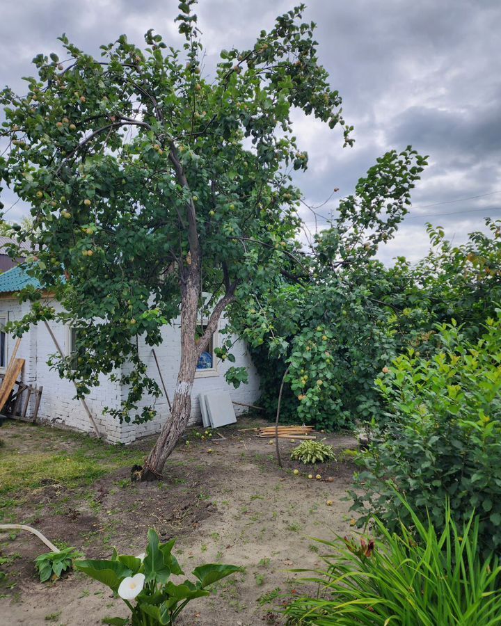 дом г Курган снт терКМЗ-1 фото 7