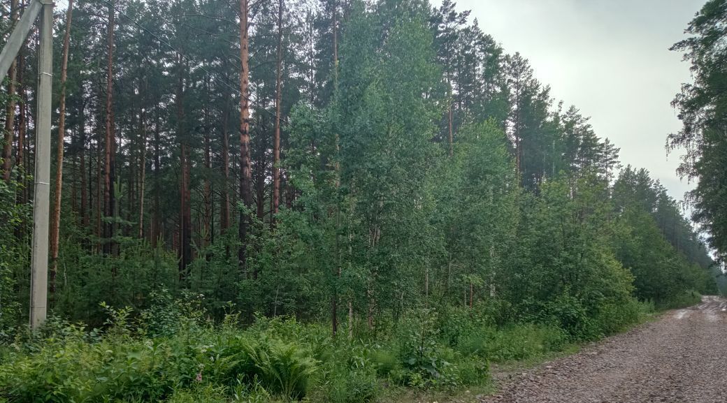 земля г Заречный фото 6