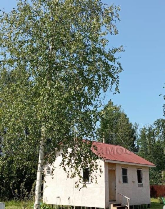 дом г Сосновый Бор снт Южное ул Садовая Ивангородское городское поселение, Кингисеппский район фото 1
