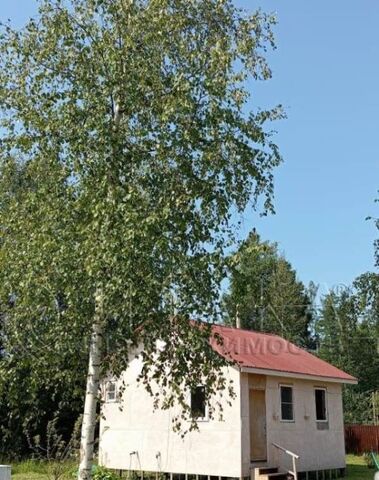 снт Южное ул Садовая Ивангородское городское поселение, Кингисеппский район фото