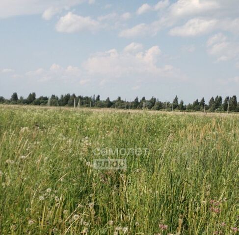 пл Сусанинская фото