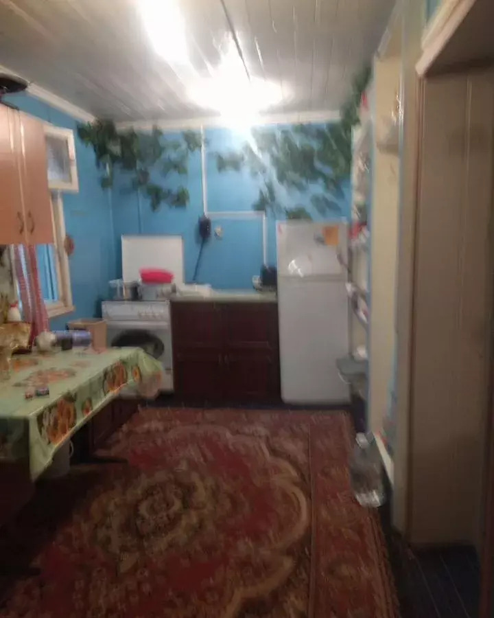 дом г Сургут снт Ручеёк ул Рябиновая Тюменская обл. фото 3