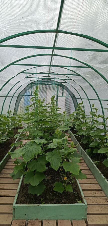 дом г Нижневартовск садово огородное товарищество Огородник -3, Тюменская обл. фото 22