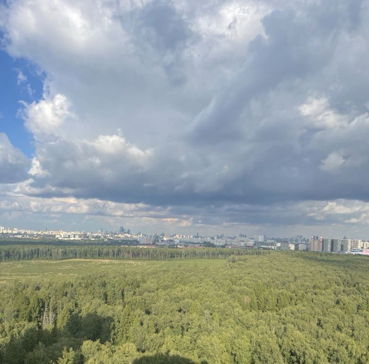 квартира г Одинцово ул Кутузовская 10 микрорайон «Новая Трёхгорка» Кунцевская фото 15