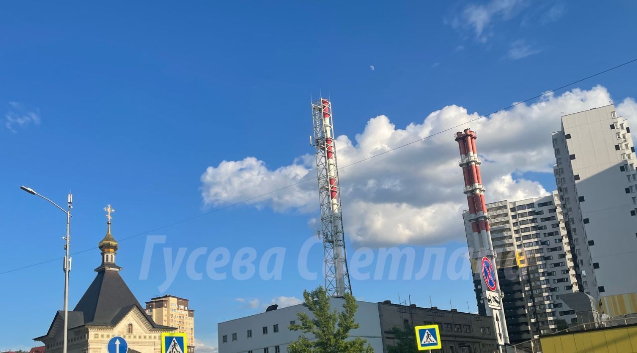 квартира г Долгопрудный ул Парковая 44к/1 Долгопрудная фото 13